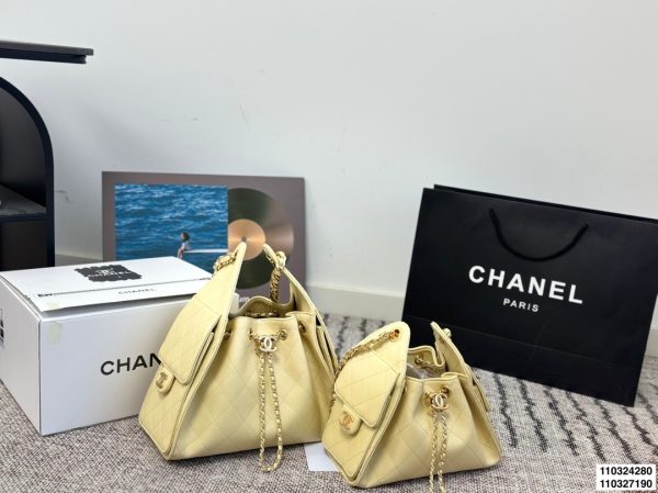 Chanel 25 Hobo Bag