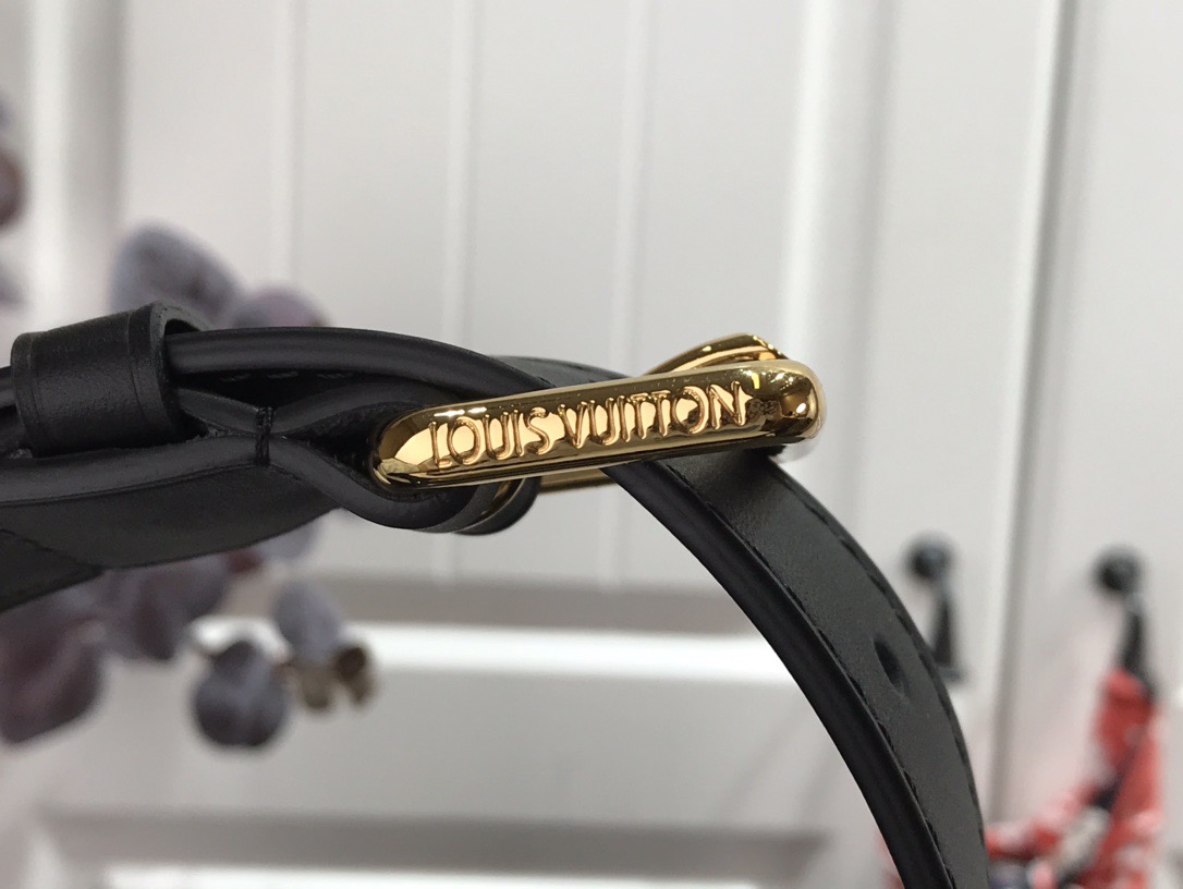 LV Monogram Odeon PM - Image 8