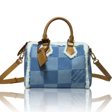 LV Speedy25 Denim Canvas Bag