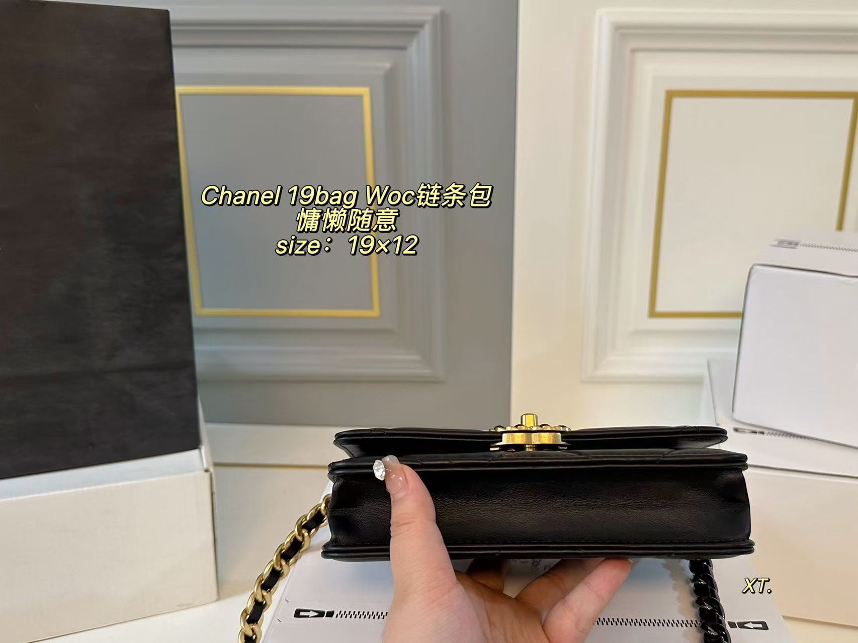 Chanel 19 Bag WOC Wallet on Chain - Image 9
