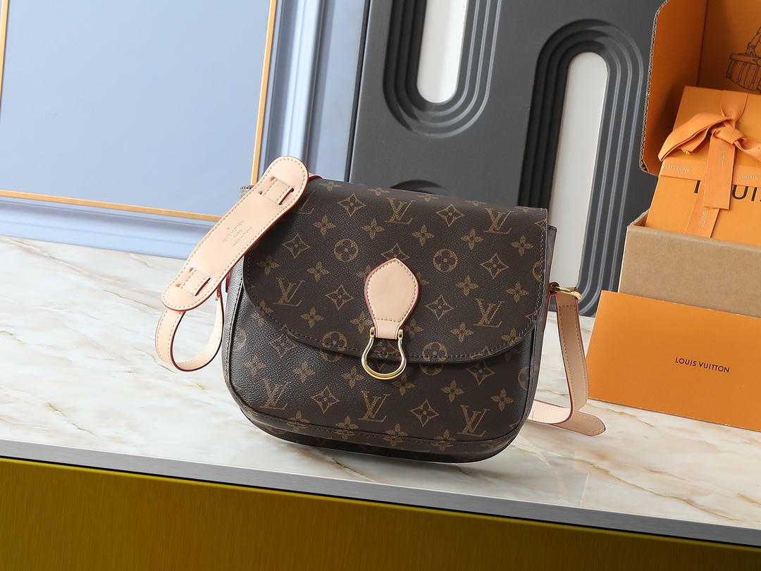 LV Saint Cloud Messenger Bag - Image 2