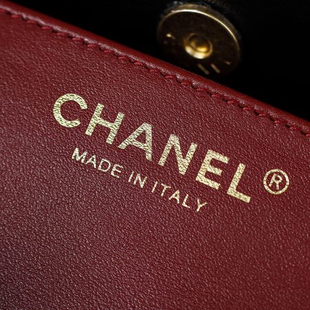 Chanel 25S Small Hobo Bag - Image 11