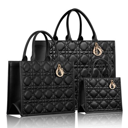 Dior Book Tote bag