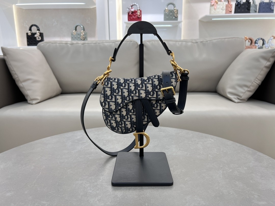 Dior Mini Saddle Bag - 10A Version - Image 1