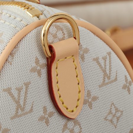 LV Speedy Bandouliere 20 Bag - Image 4