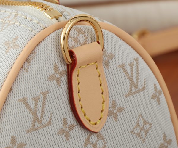LV Speedy Bandouliere 20 Bag