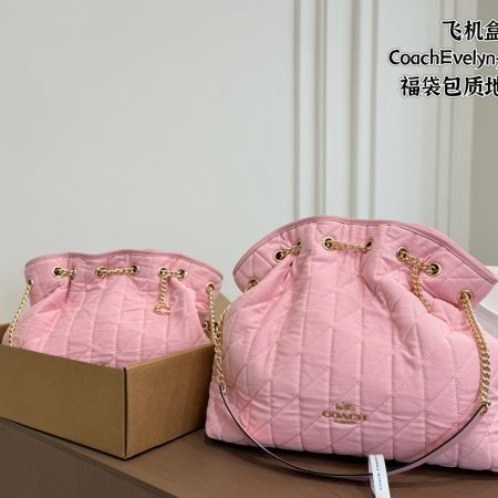 Coach Evelyn Denim Lucky Bag