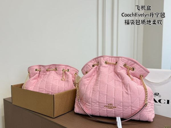 Coach Evelyn Denim Lucky Bag