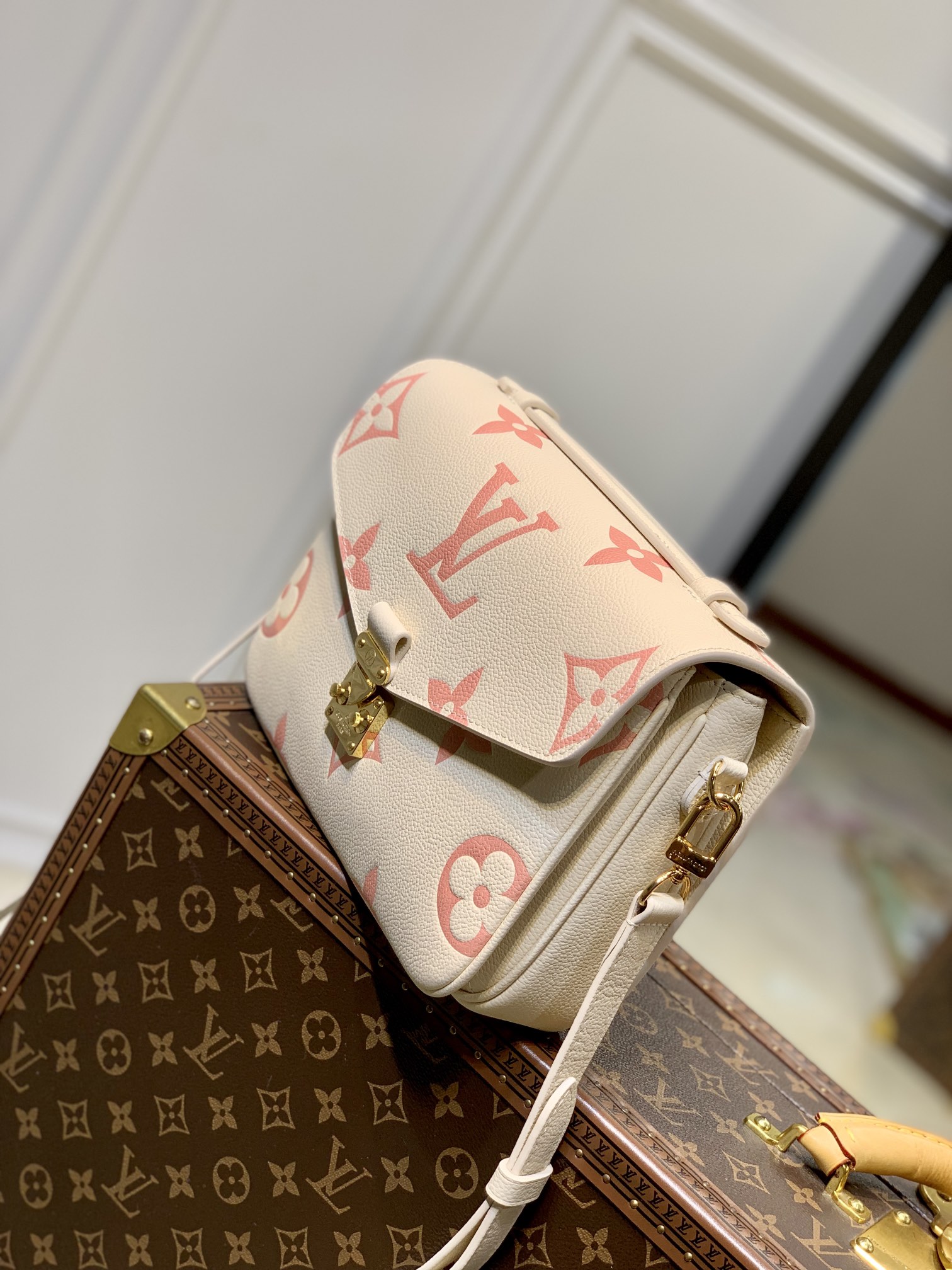 Pochette Metis M45573 - Image 6