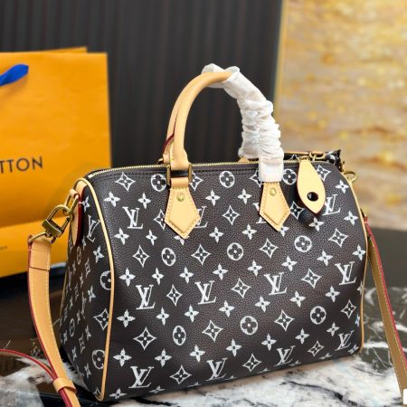 LV Speedy Pillow Bag - Image 12