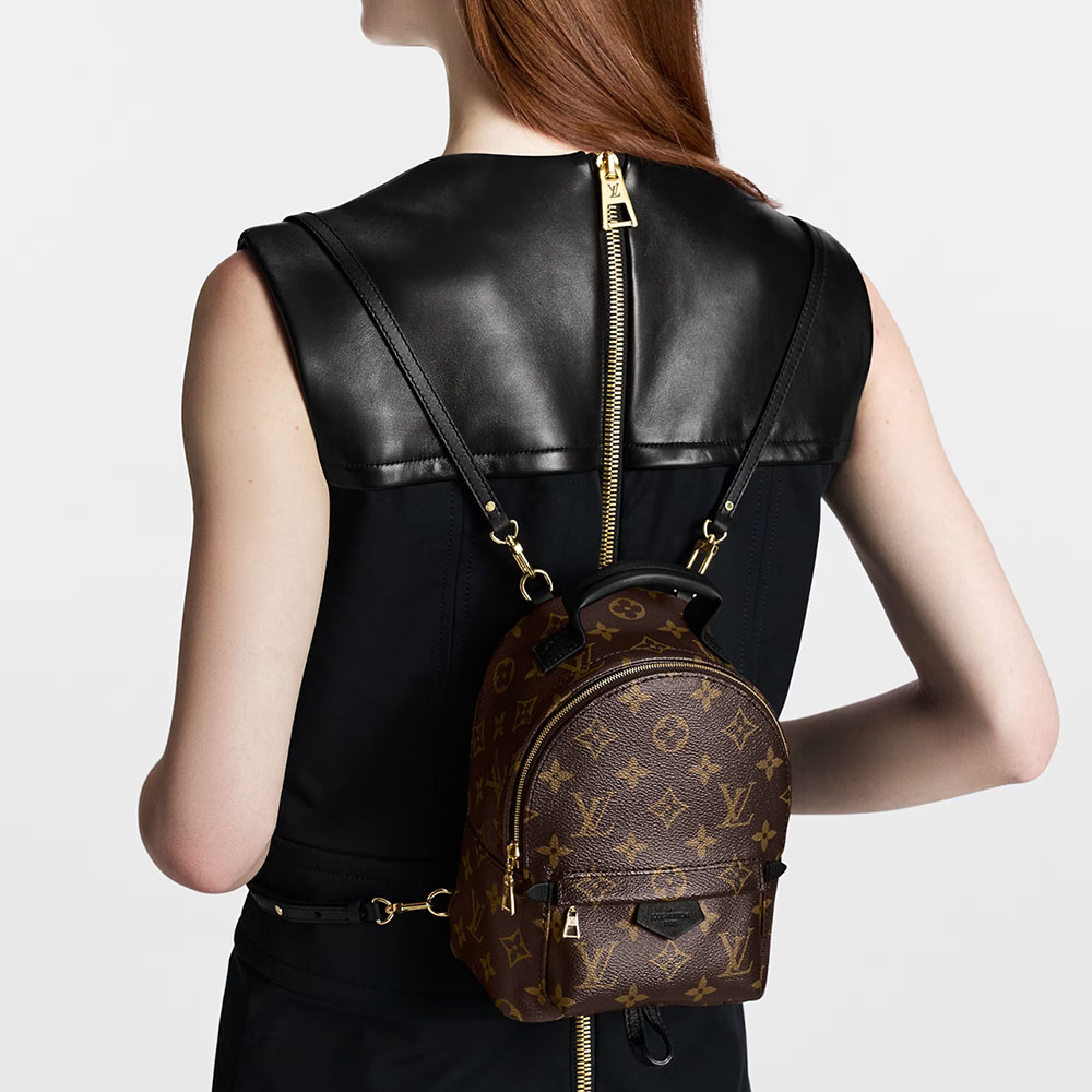 LV Palm Springs Backpack Mini&Small&Medium - Image 2