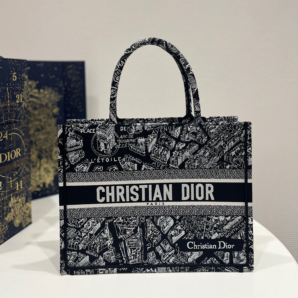 DIOR Book Tote Paris Map Bags - Image 9