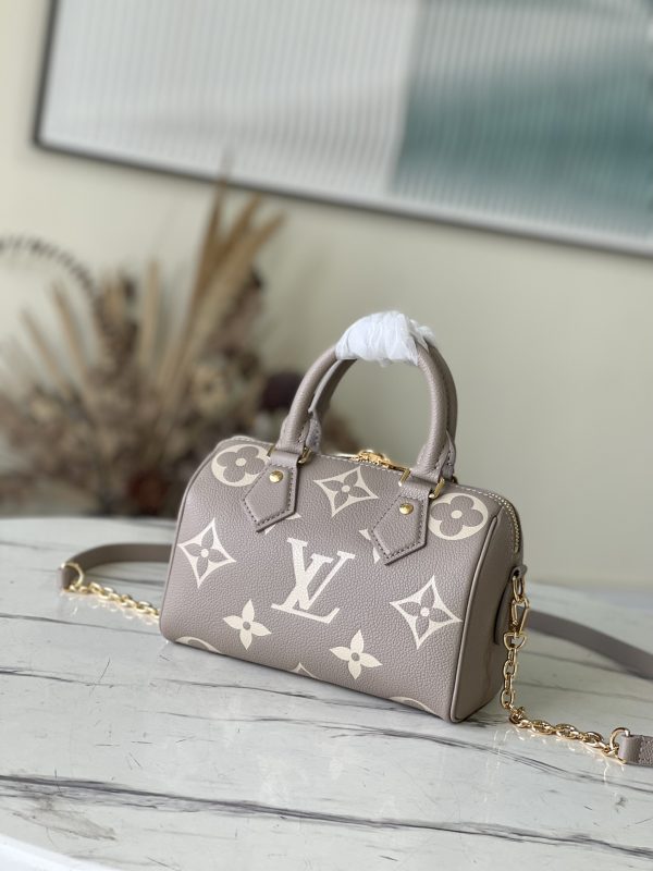 LV Speedy Bandouliere Grey Bag