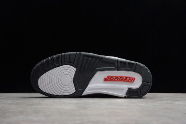 Air Jordan 3 Retro ``Cool Gray CT8532-012