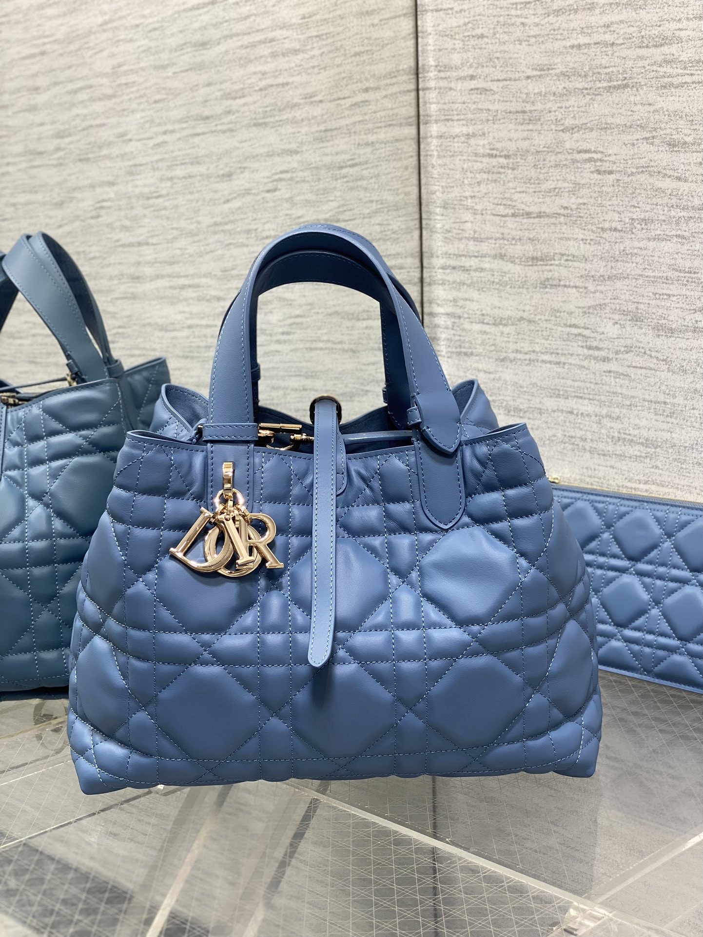 Dior Toujours Bag - Image 9