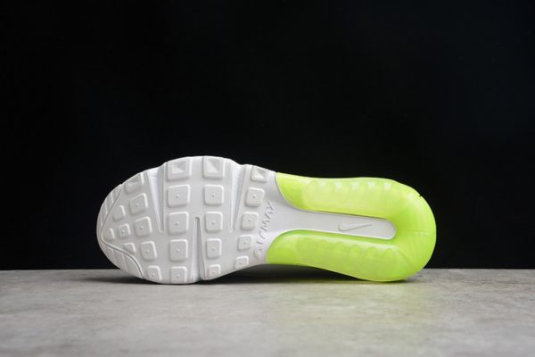 Nike Air Max 2090 DJ6898-100