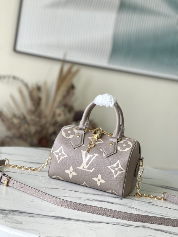 LV Speedy Bandouliere Grey Bag