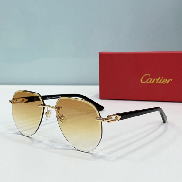 Cartier Metal Leg Rimless sunglasses Top quality