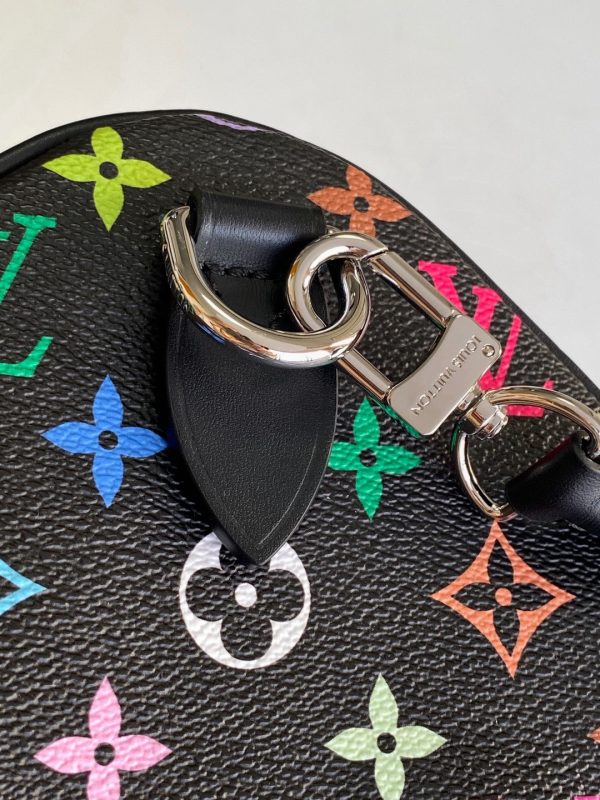 LV x TM Speedy Soft 30 bag
