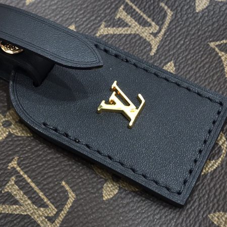 LV Monogram Odeon PM - Image 5