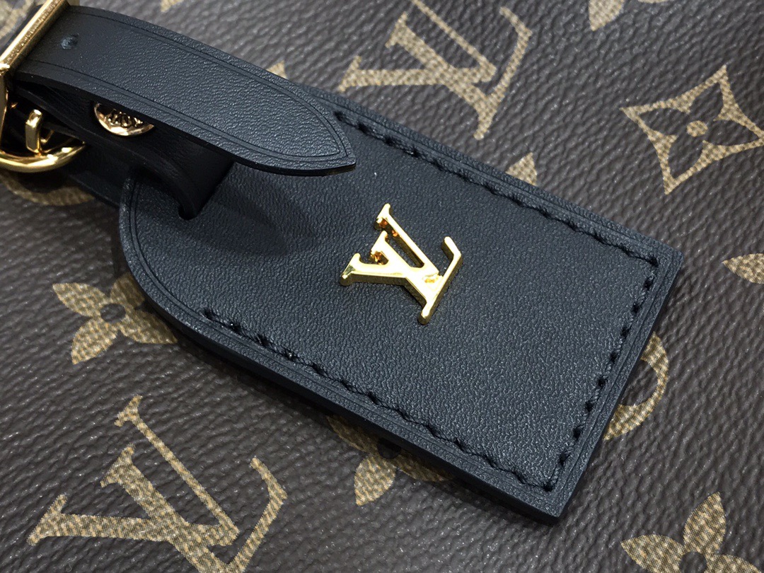 LV Monogram Odeon PM - Image 5