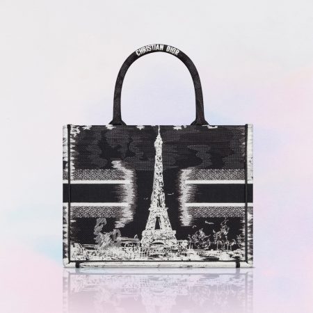 Dior Book Tote Paris Medium Bag - Image 4