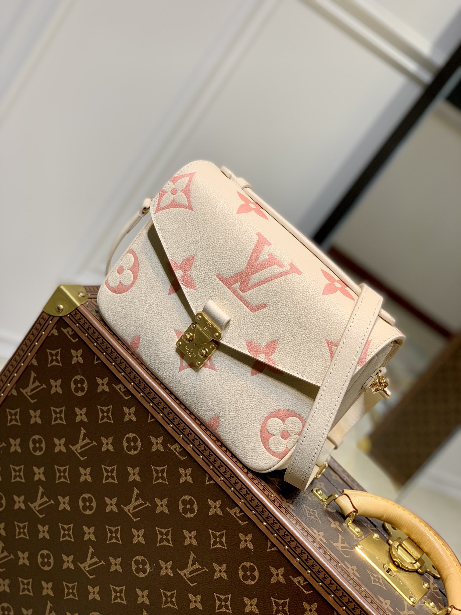 Pochette Metis M45573 - Image 1