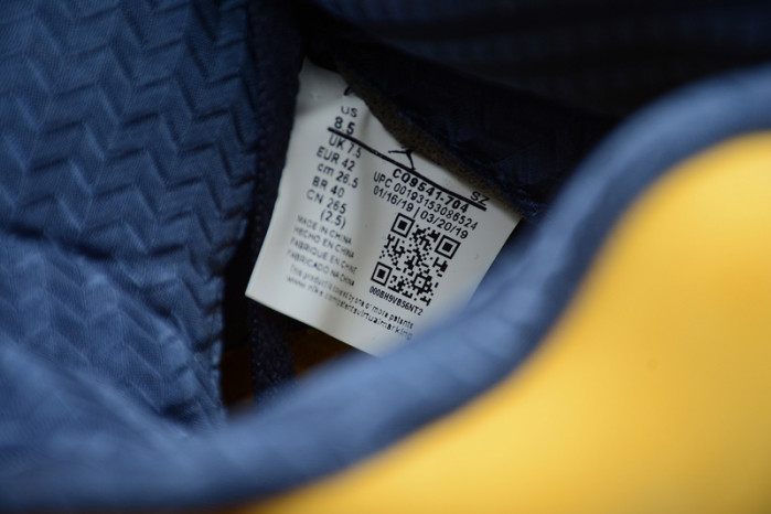 Air Jordan 5 Retro SP Michigan CQ9541-704 - Image 15