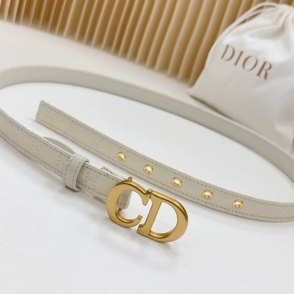 Dior double sided   with calf leather,  Women Belt 20MM