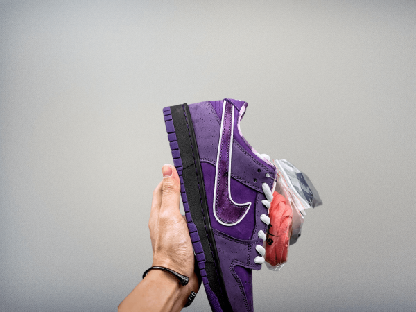 Dunk SB Low Pro “ Purple Lobster"