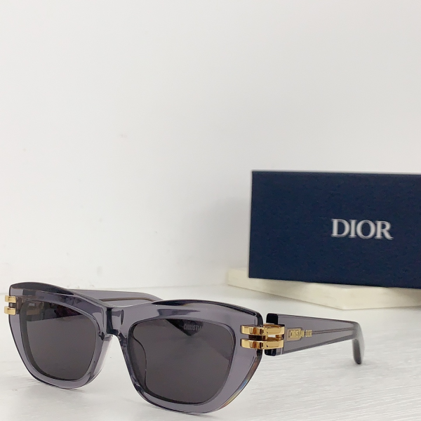 Dior Thick Acetate Sunglasses Top Quality
