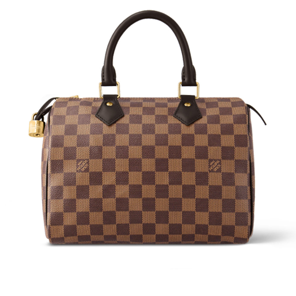 LV Speedy 25 Damier Ebene Women Handbag - Image 1