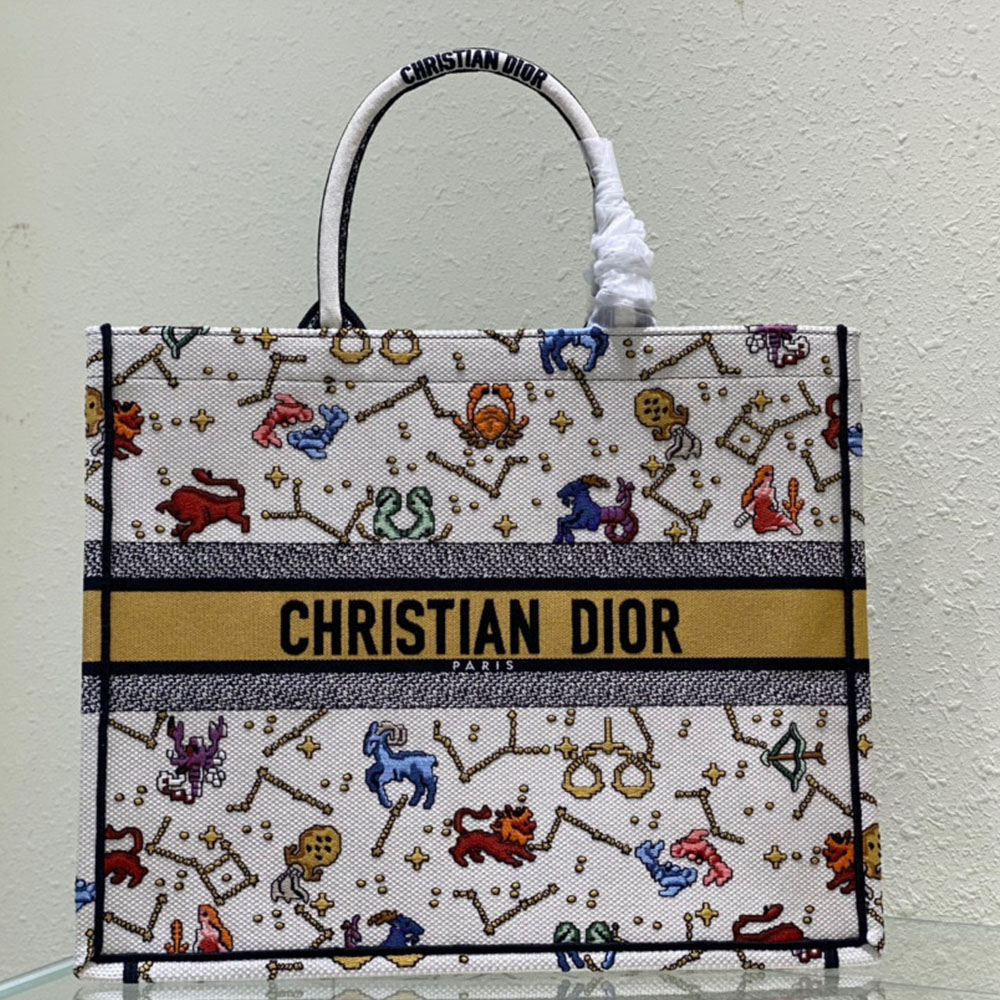 DIOR Book Tote Bags Collection - Image 12