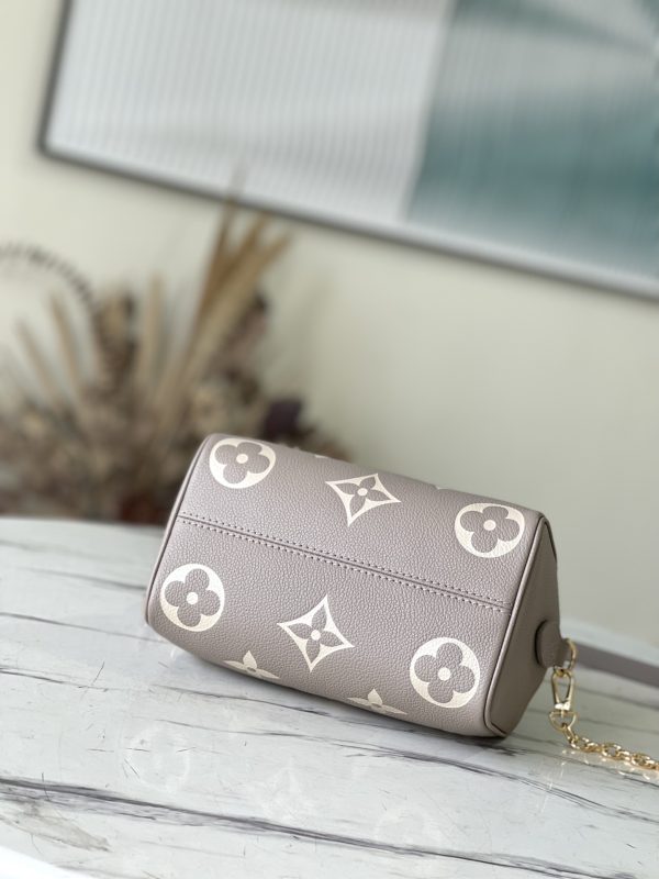 LV Speedy Bandouliere Grey Bag
