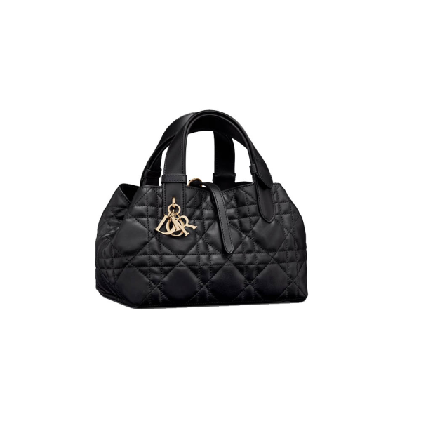 Dior Toujours Medium Cowhide