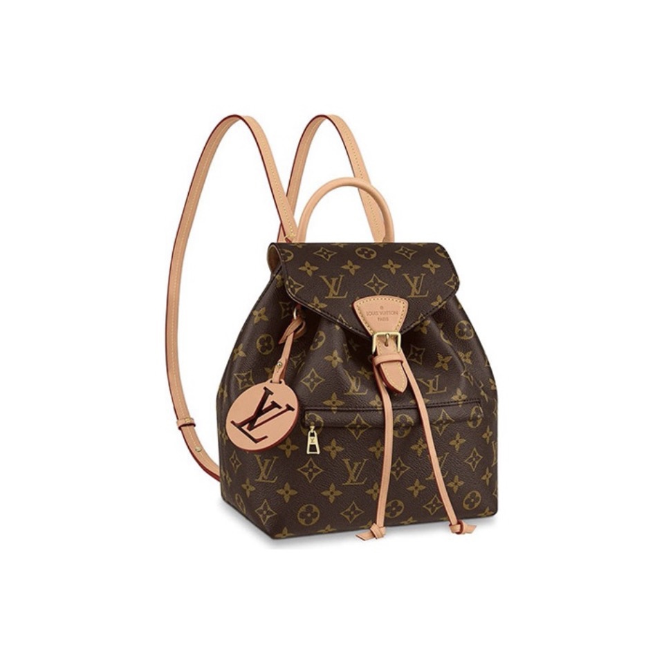 LV Montsouris Backpack - Image 1