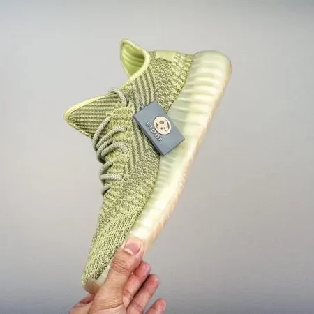Yeezy350 Boost V2 Antlia - Image 4