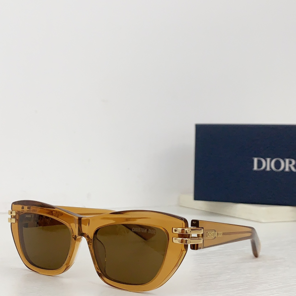 Dior Thick Acetate Sunglasses Top Quality