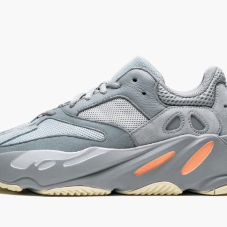Yeezys Boost 700 “ Inertia"