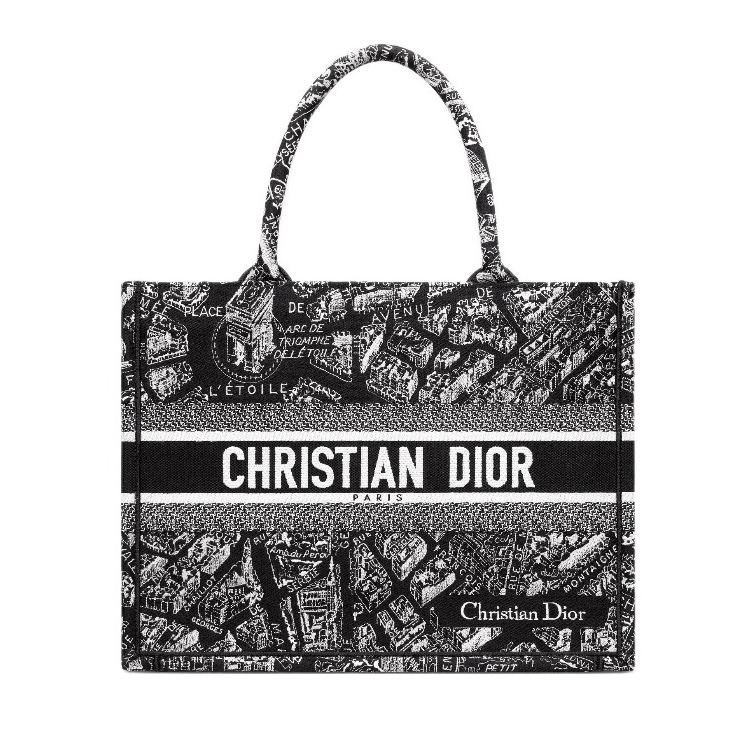 DIOR Book Tote Paris Map Bags - Image 2