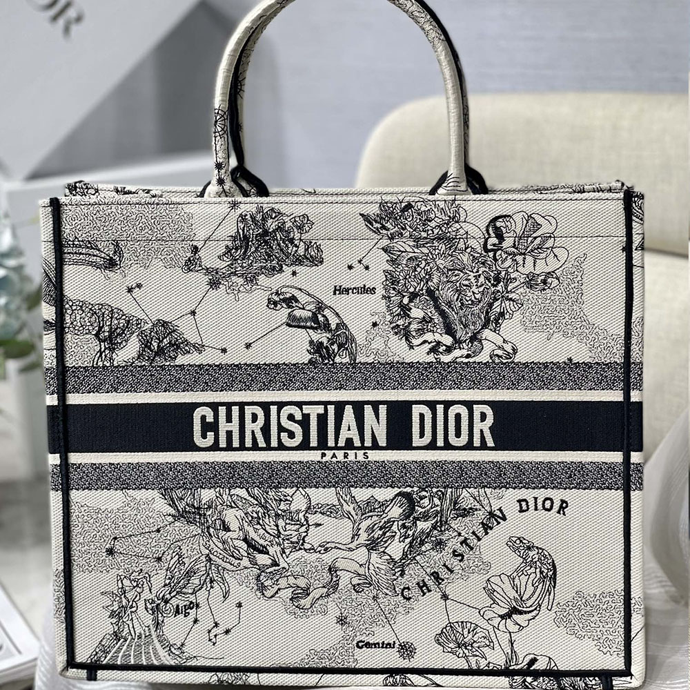 DIOR Book Tote Bags Collection - Image 44