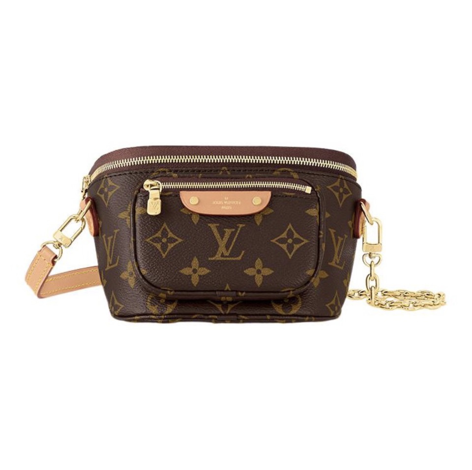 LV Bumbag Bag - Image 1