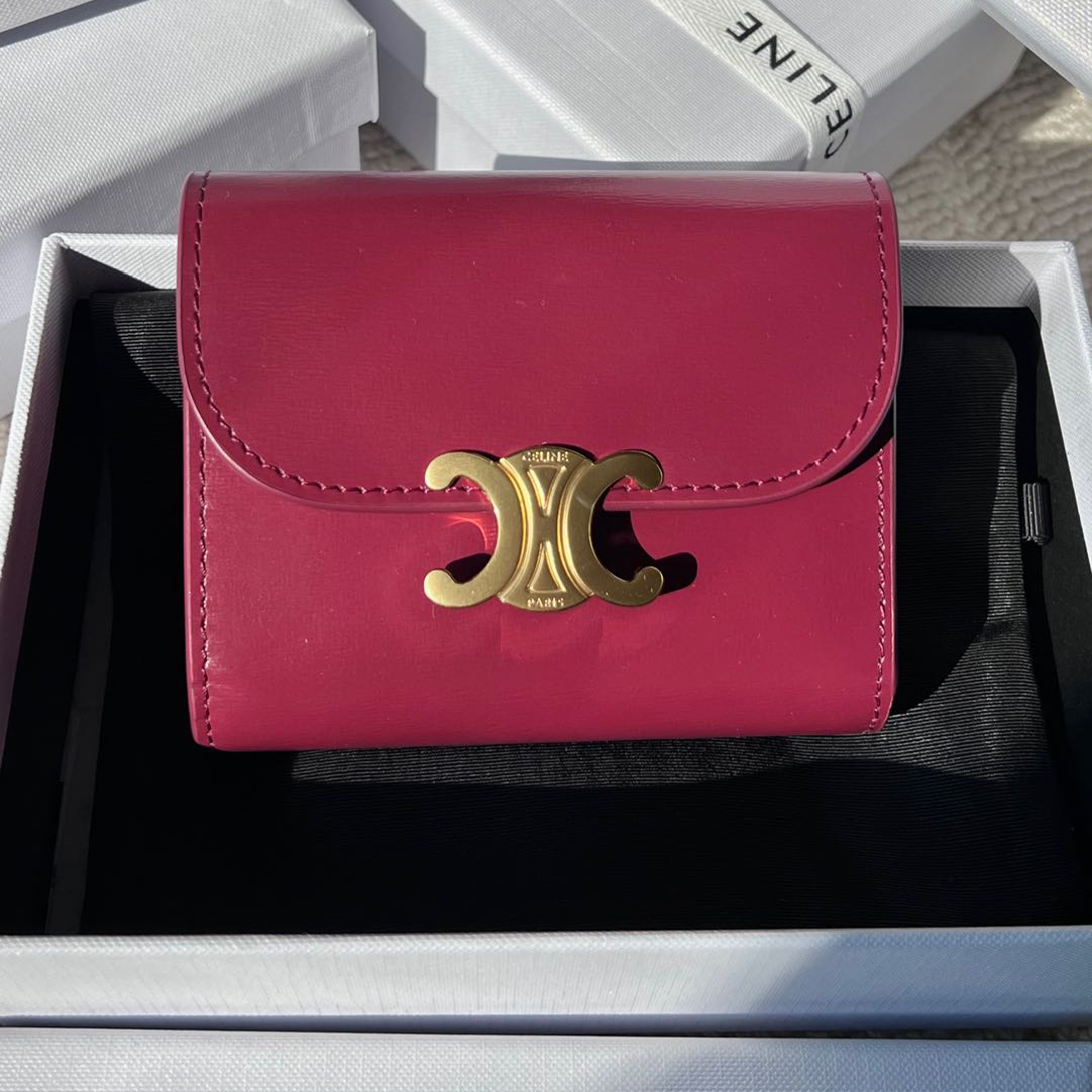 Celine Triomphe Wallet - Image 9