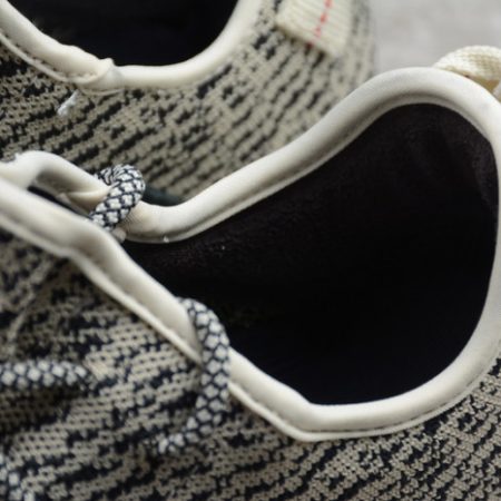 Yeezy Boost 350 Turtle Dove AQ4832 - Image 8