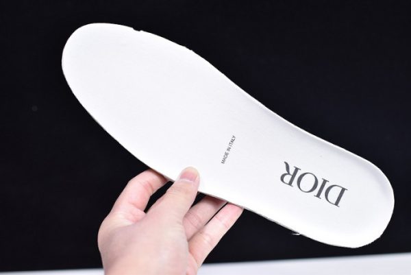 Dior B23 Oblique low Shoes T004801-1071