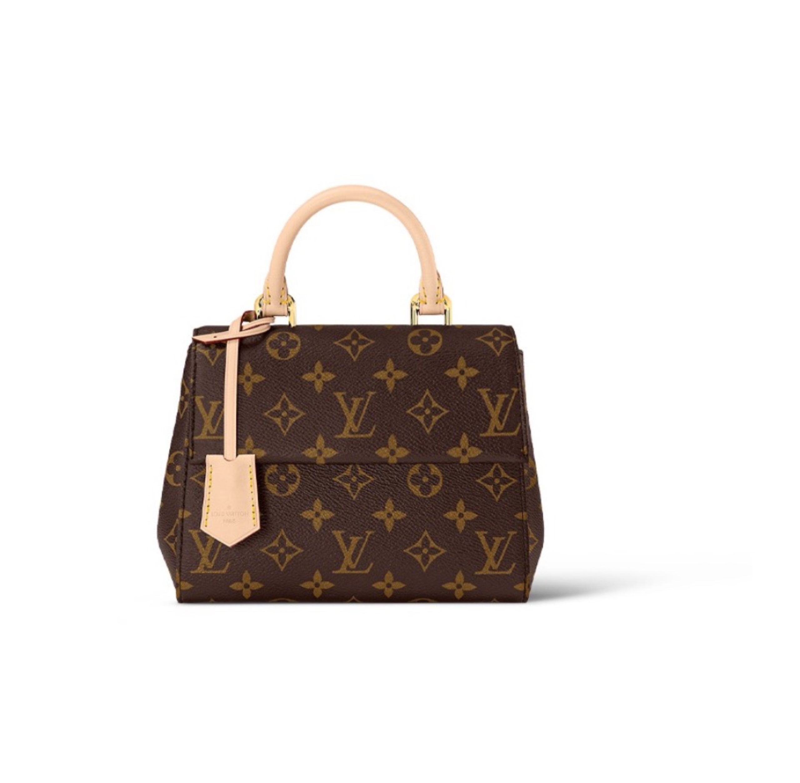 LV Cluny Leather Shoulder Crossbody Bag M46055&M46054 - Image 1