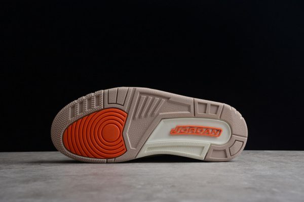 Air Jordan 3 Desert Elephant CT8532-008