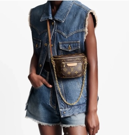 LV Bumbag Bag - Image 2