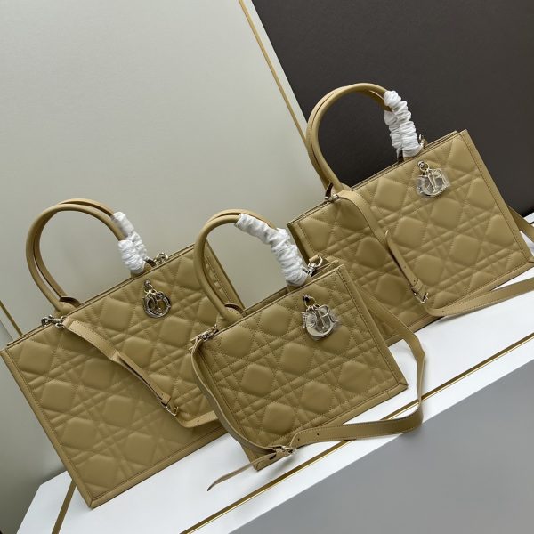 Dior Book Tote bag