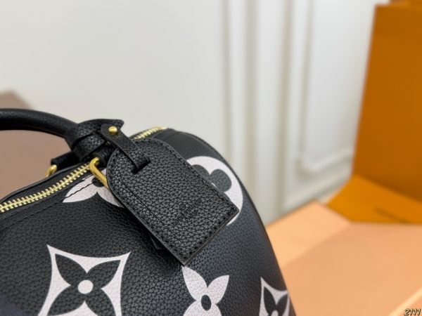 LV Speedy Soft 25 Pillow Case